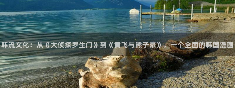 漫蛙漫画页面入口在哪：韩流文化：从《大侦探罗生门》到《黄飞与熊子豪》，一个全面的韩国漫画