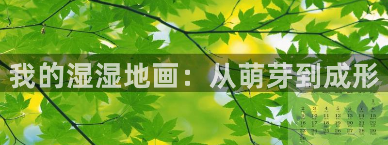 漫蛙漫画网站入口：我的湿湿地画：从萌芽到成形