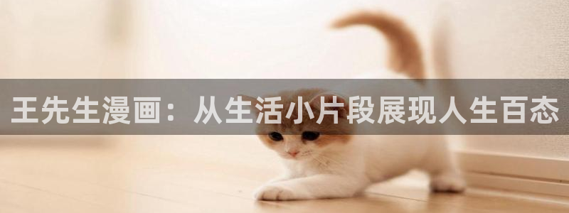 漫蛙漫画网址链接入口2024：王先生漫画：从生活小片段展现人生百态