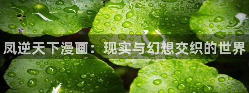 漫蛙漫画漫蛙官网：凤逆天下漫画：现实与幻想交织的世界